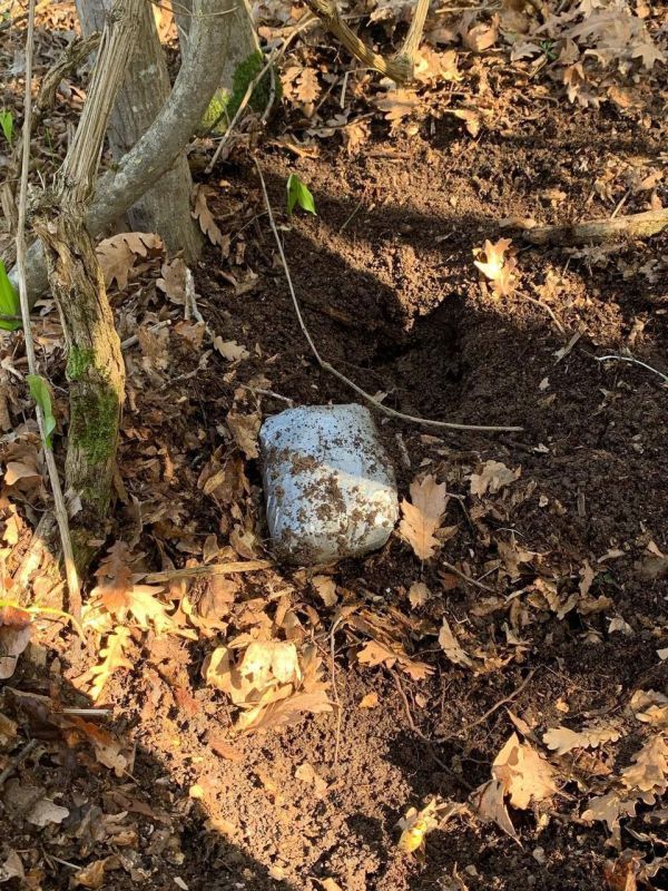 В Севастополе девушка-наркодилер получила восемь лет колонии В Севастополе девушка-наркодилер получила восемь лет колонии