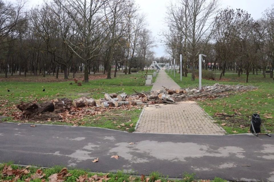 Поваленные деревья и оборванные провода: в Керчи устраняют последствия непогоды Поваленные деревья и оборванные провода: в Керчи устраняют последствия непогоды