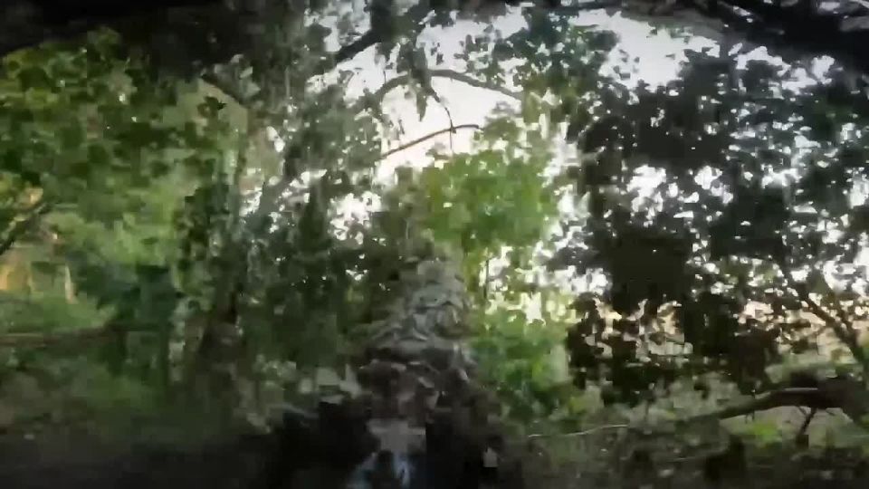 ������� ������ �� ��������� � �������������� �����