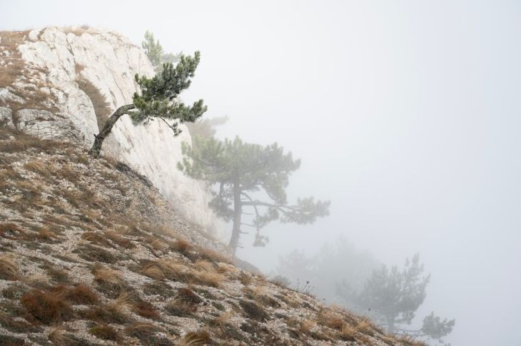 В Крыму закрыли экотропы на Ай-Петри из-за ухудшения погодных условий