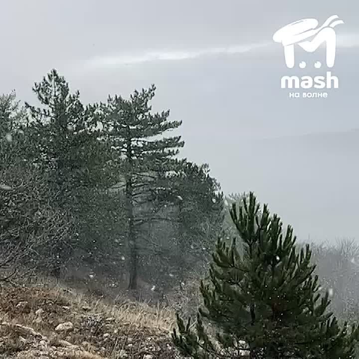 Первый снег пошёл на Ай-Петри