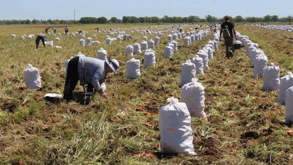 �������� ���������������� ��������: ������ ��������� � ��������� ��������!