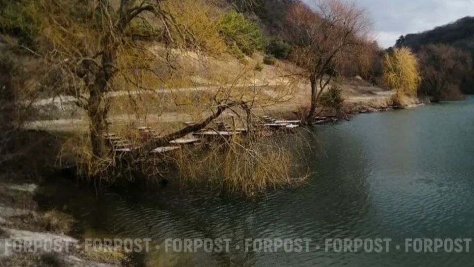 ����������� ������� ����������� �������� �� ������������ ������