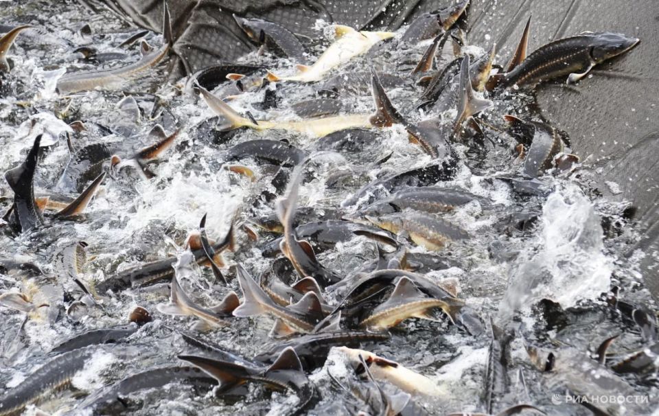 � �������� ���� ������ ��������� �� ��������� 10 ��� ������� "����������� � ����" �� 3 ��� ����, �������� ��������������