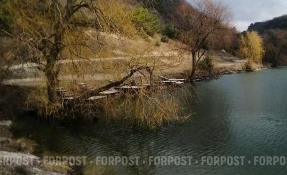 ����������� ������� ����������� �������� �� ������������ ������