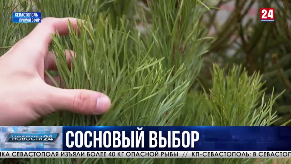 � �����-����� �������� ��� ������ ���������� ��������