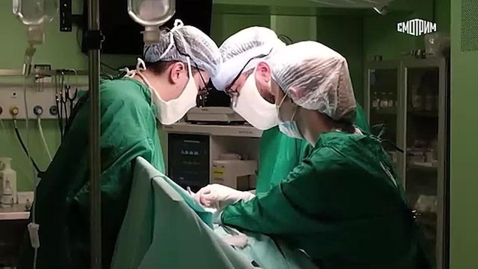 ����������� ���������� ���������������� ������������ ������ ���� �������� � ������� ���� ����� �������� � �������������� �������� �����, ���������� � �������� "������ 24" ������������ ������������ ������-��������������...