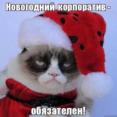 Виталий Милонов: обычные новогодние встречи сотрудников — это традиция, а не «рассадник блуда»