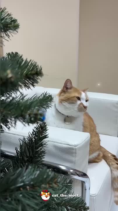 ��� ������: ��� ������� ��������� ������