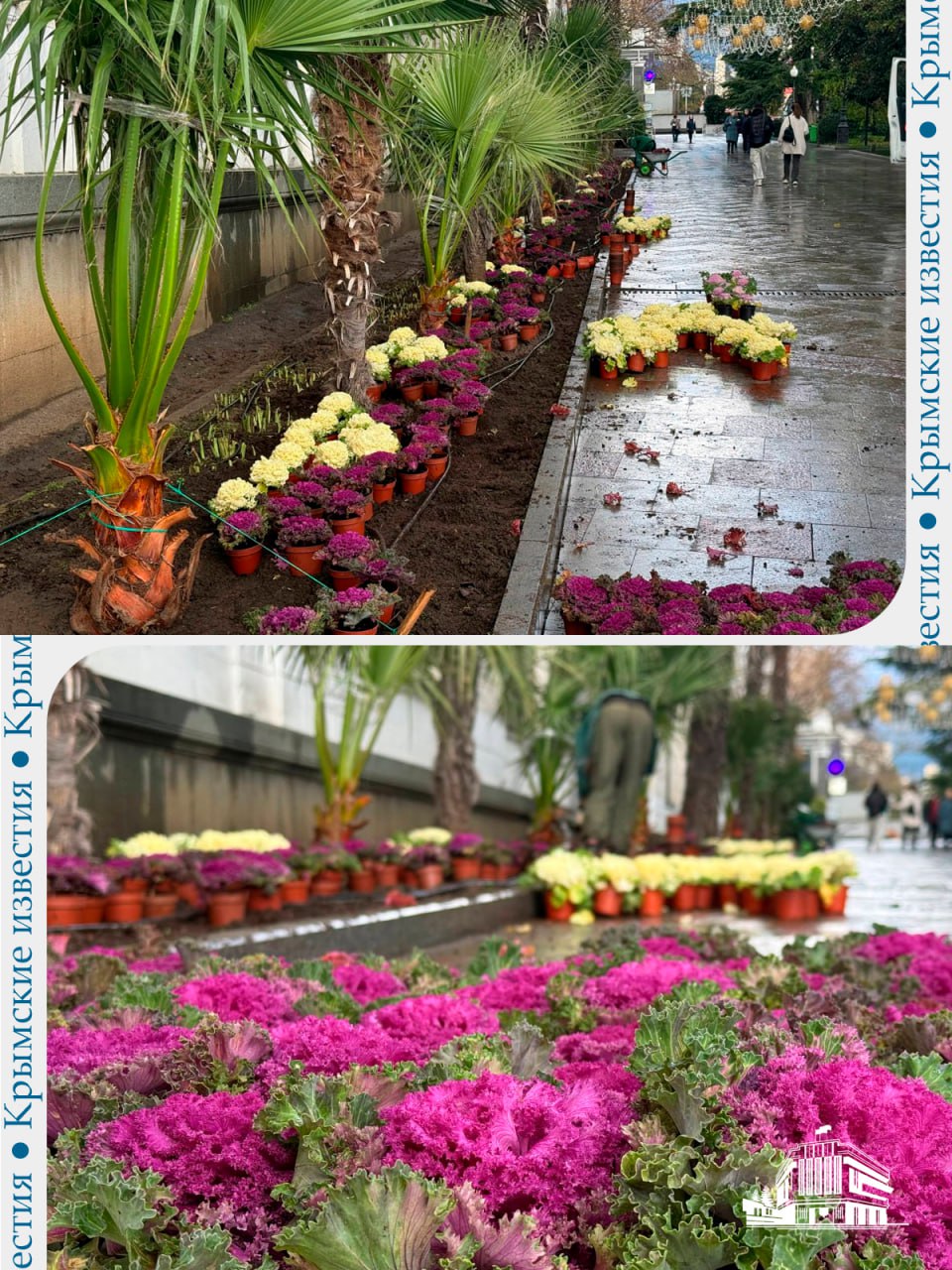 Центр Ялты украсили капустой