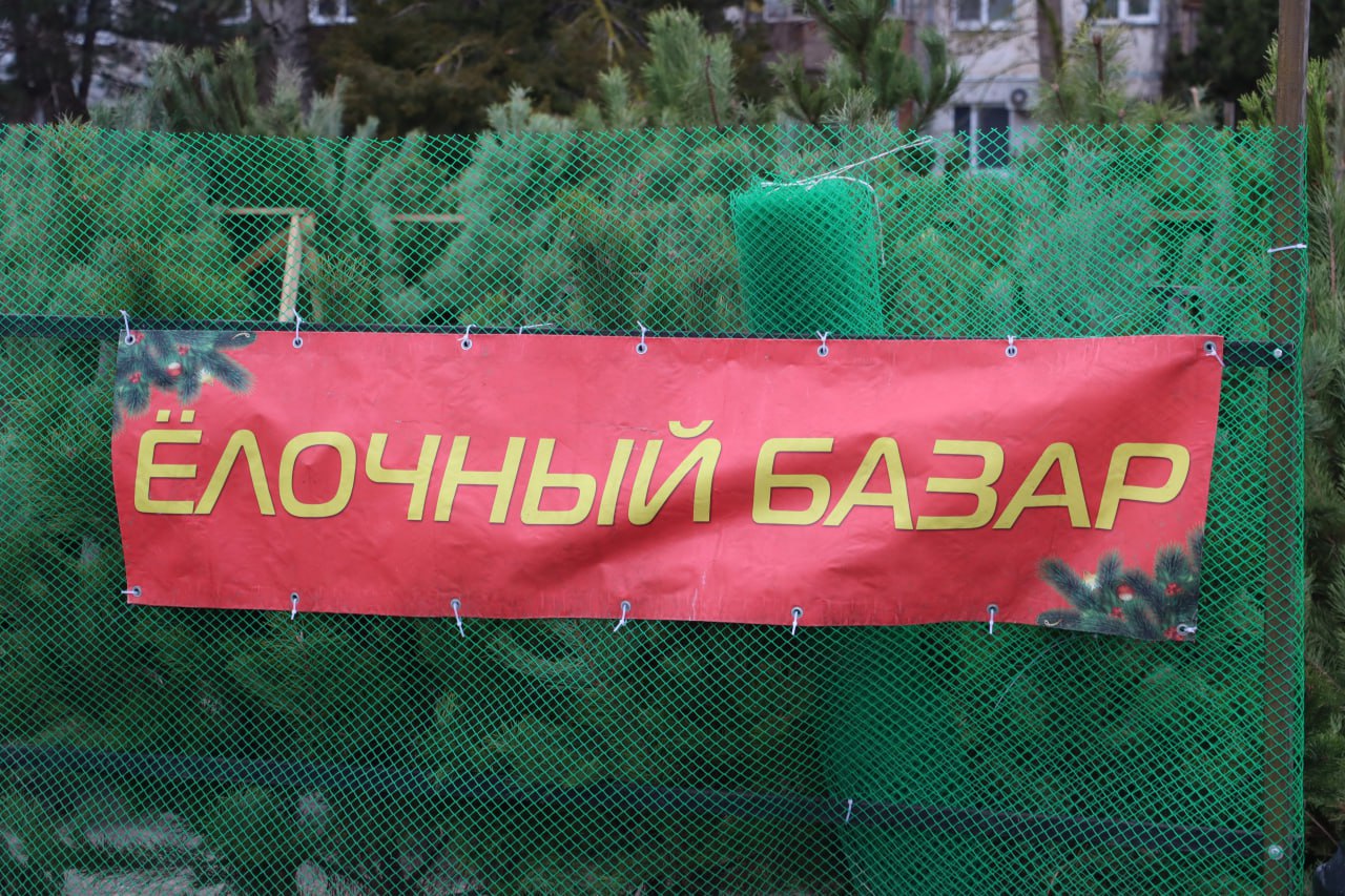 В Керчи устанавливают ещё одну новогоднюю ёлку В Керчи устанавливают ещё одну новогоднюю ёлку