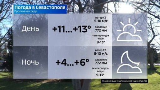 Прогноз погоды на завтра. До субботы в городе каждый день будет становиться чуть теплее