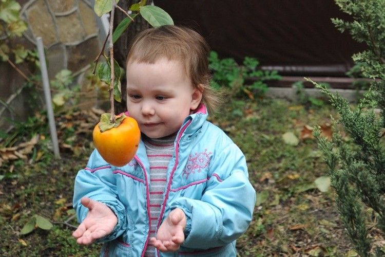 ������� - �����, ��� ������, � ������� � ����������: � ����� ������� ������� ������� �����