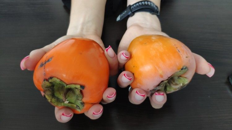 ������� - �����, ��� ������, � ������� � ����������: � ����� ������� ������� ������� �����