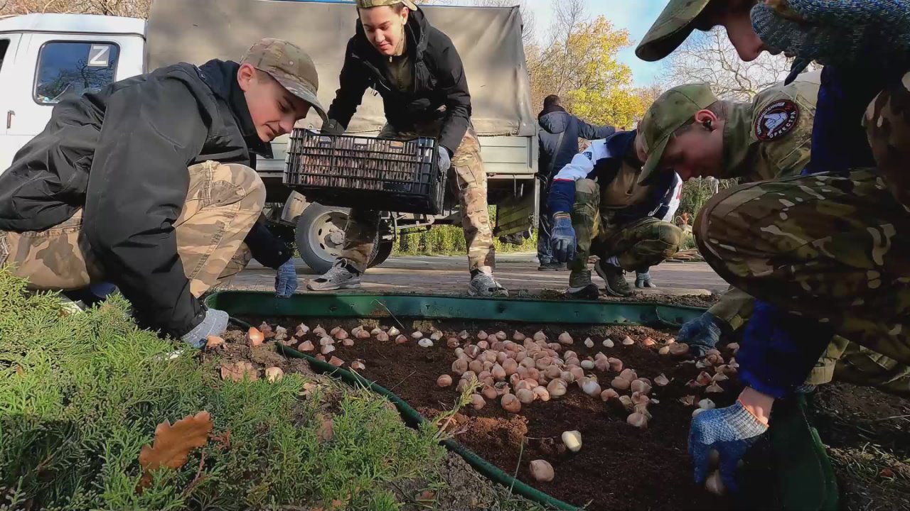 Янина Павленко: 5,5 тысяч тюльпанов расцветут весной в Милютинском парке