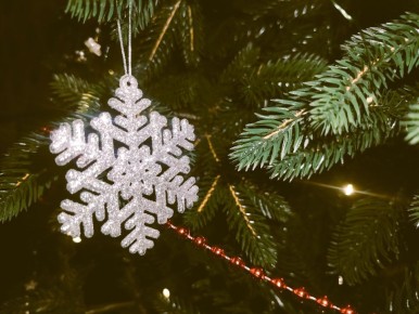 � ������ �����, �������!. ����� ���� �������� ���� ������� ������� ��� ����������� � �������������