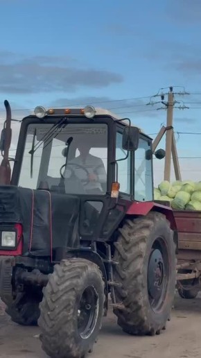 ����� ������: � ���������� ���� � �������� ���� ��������� ���������� ��������� �������� ������� ������������