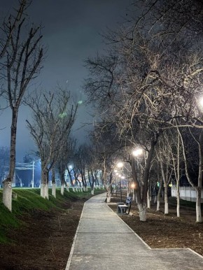 А уже в феврале 2026 года начнётся следующий этап озеленения: по всей аллее - и в специально установленных клумбах, и вдоль её краёв - будет высажена лаванда