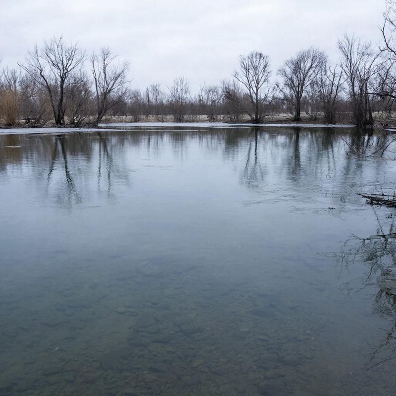 ������ ���� � ������� ����� ������� ���� �� ���� ������