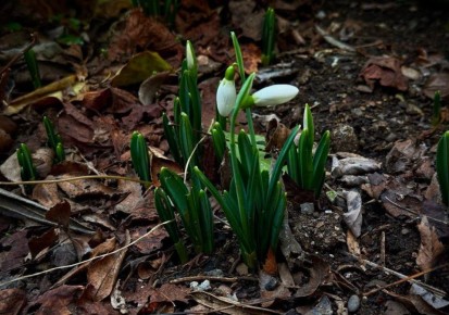 ����������� � �������? ��� �� �������, ��� ������ ������� ����� � �����! ������ ���� �������� ������������ � ���������� �� ������� � ��������!