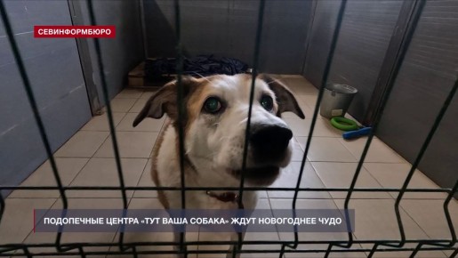 ���������� ������ ���� ���� ������ � �������� ����������� ����