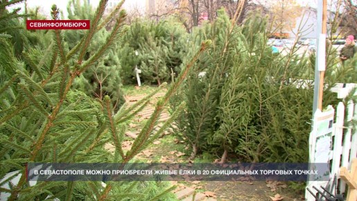 � ����������� ����� ���������� ����� ���� � 20 ����������� �������� ������