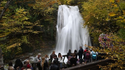 "������� ������� �� �����": ������� � ������������� ������ ��� �����