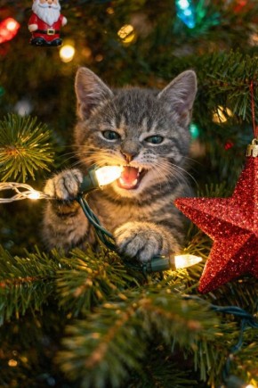 ��� ��� ��� �������� �� ���� ���� ���������� �������?