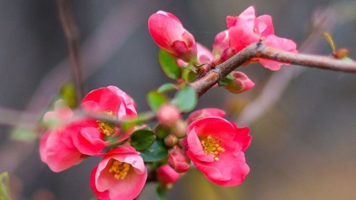 � ����� ������� � ����������� ������������ �������� ����