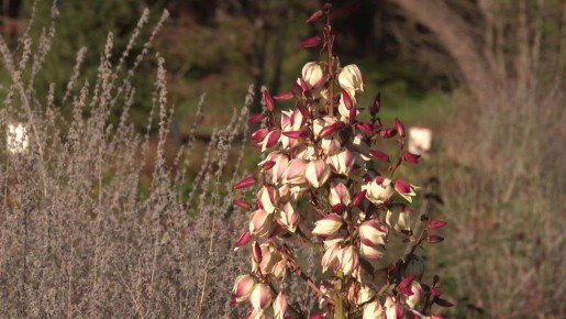 ������ ����, �����������!. #����������� #����