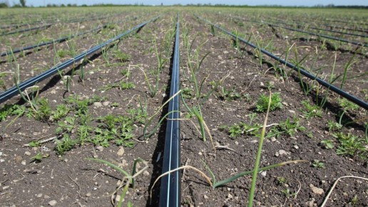 ��� ��������� ��������� ����� 2025-� ���� ����� ��������� � �������������