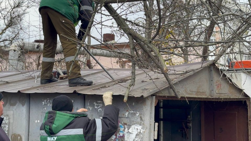 ���� ��������: � ������ ������������ �������� ������ �� ��������� ���������� ����������� � ����������� ��������