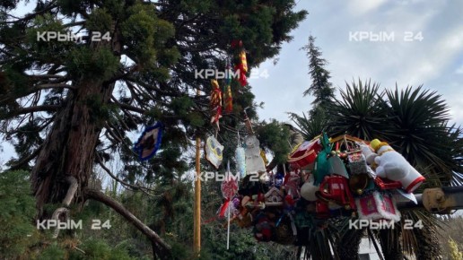 � ���� � ������ ���� �������� 13-�������� ��������������