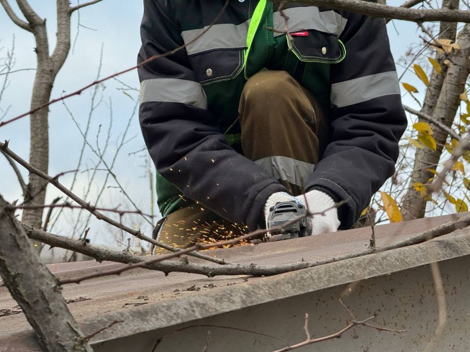 ���� ��������: � ������ ������������ �������� ������ �� ��������� ���������� ����������� � ����������� ��������