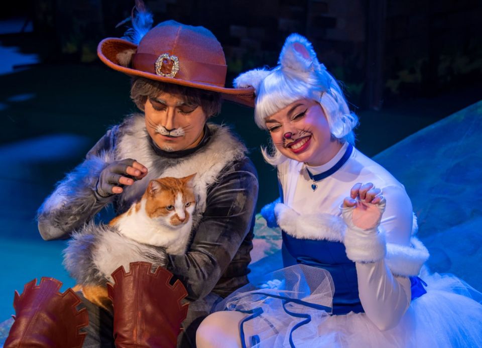 ��� ������: ������� �� �������� "���� � �������" � �������� ������������� ������ ��. ��������