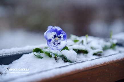 ������� �������� ������� � �����: ������� �� ����� ������� � ������ ���� ������