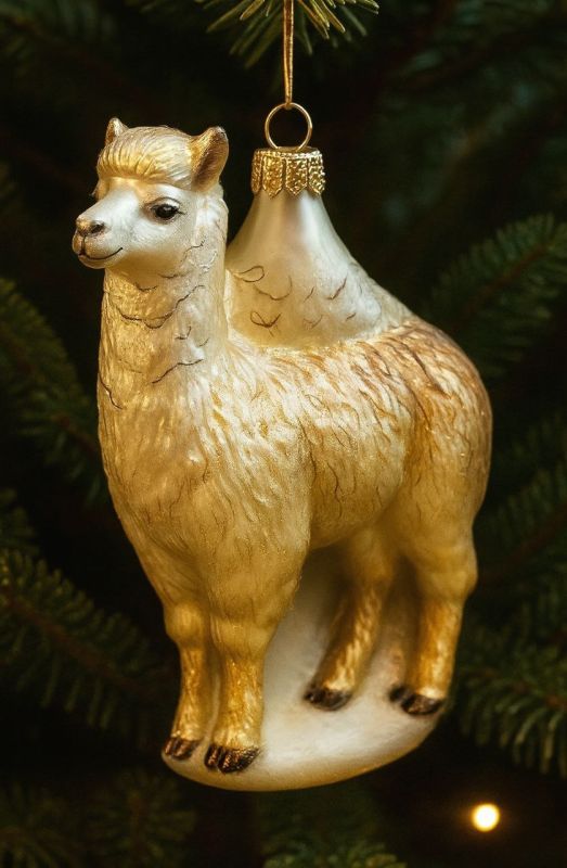 ������������ ��� ������������ ���������� ���������!