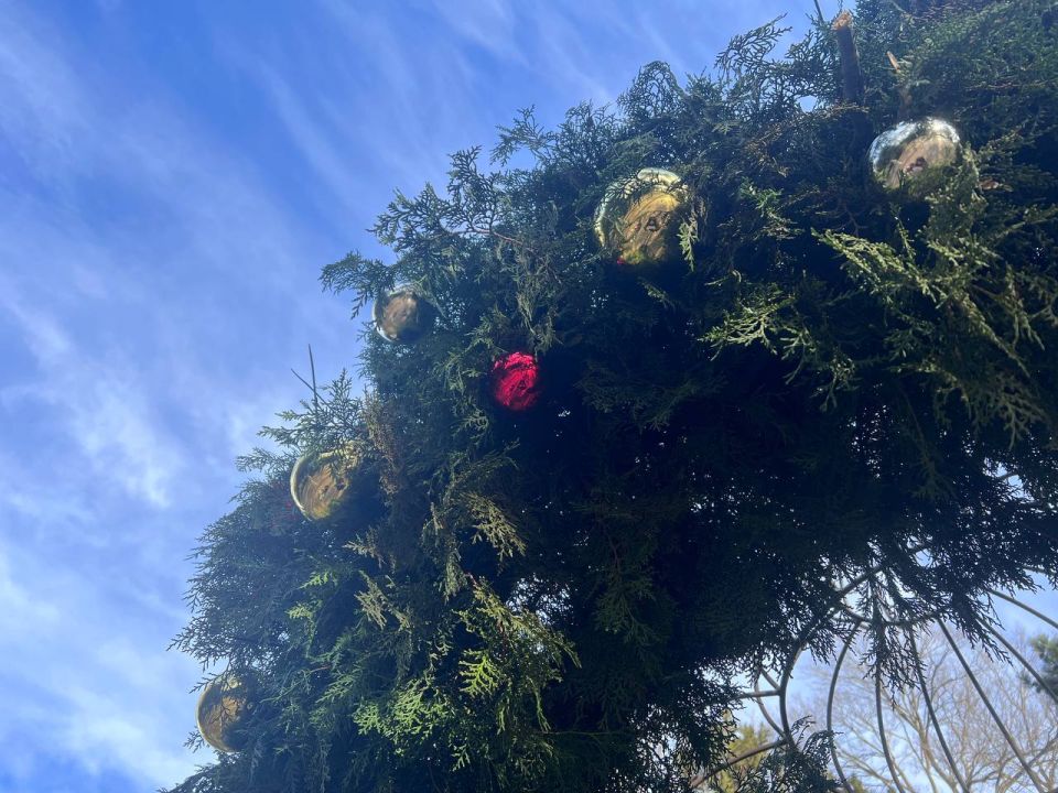 ���� ��������: ����� ���������� ������������� � ����������