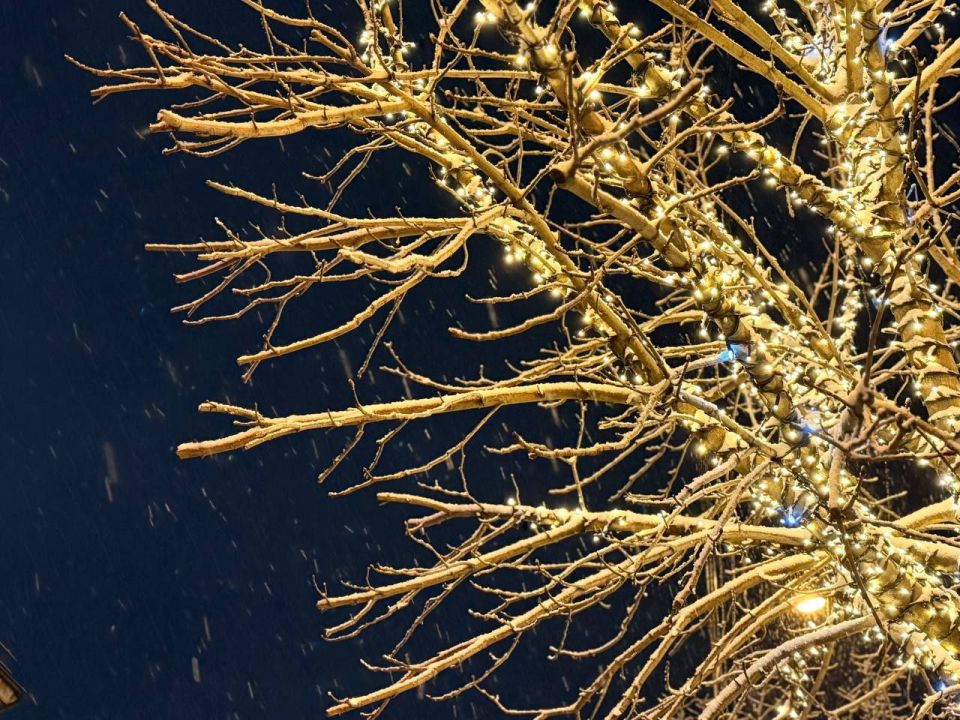 ���� ��������: ��� ���� ���������� ������� ��� ������ �������� ����� ����� ������ � ����� �� ���������� ��������