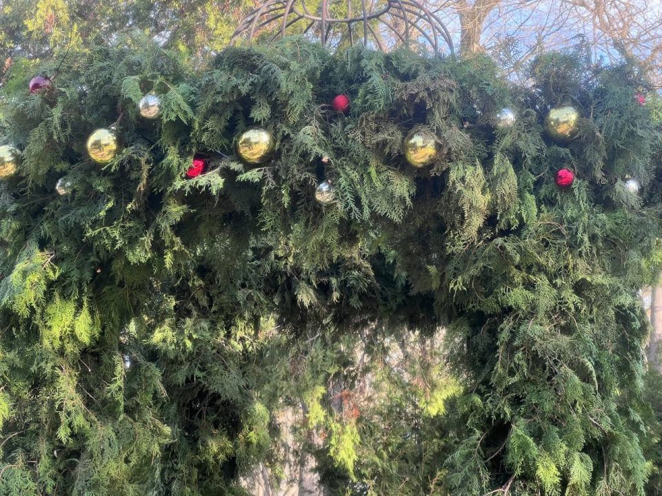 ���� ��������: ����� ���������� ������������� � ����������