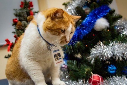 ��� ������: ������ �������. ������� ��������� �������������