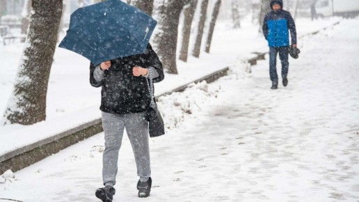 ������ � �����: ������ � ����� �� �������