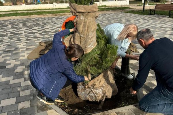 � ������� ������ �������� ��������� �����