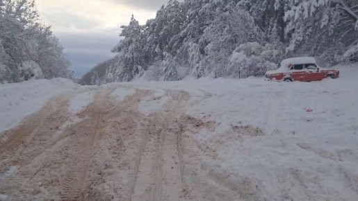 ���������� �� ������� � �������������� ������ ����� ������