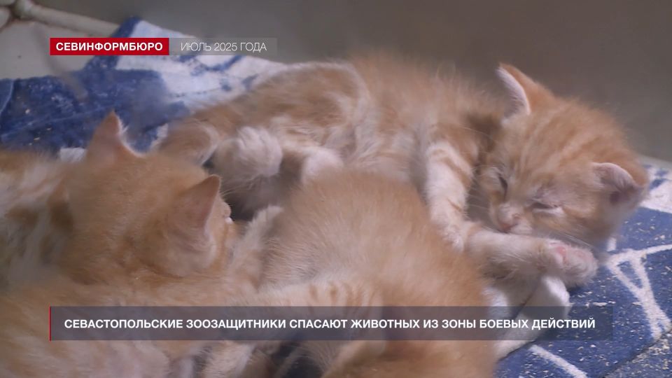 ����� ����: ��� � ����������� ��������� � ��������