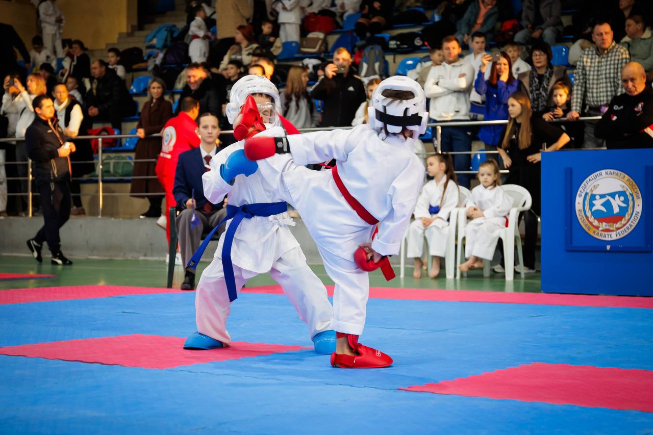 Крымская школа тхэквондо ГТФ — одна из сильнейших в мире по итогам прошлого года