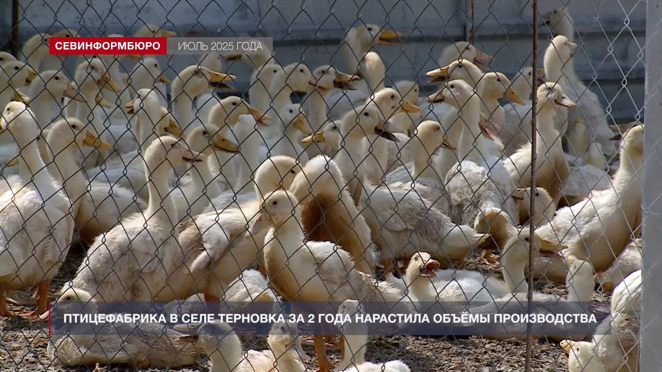 ����� ����: ��� � ����������� ��������� � ��������