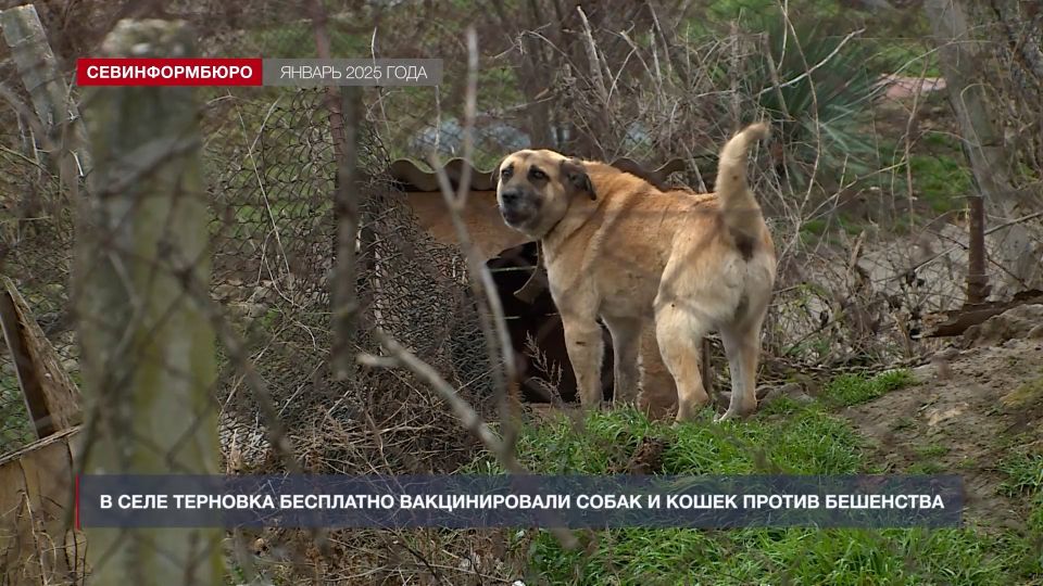 ����� ����: ��� � ����������� ��������� � ��������