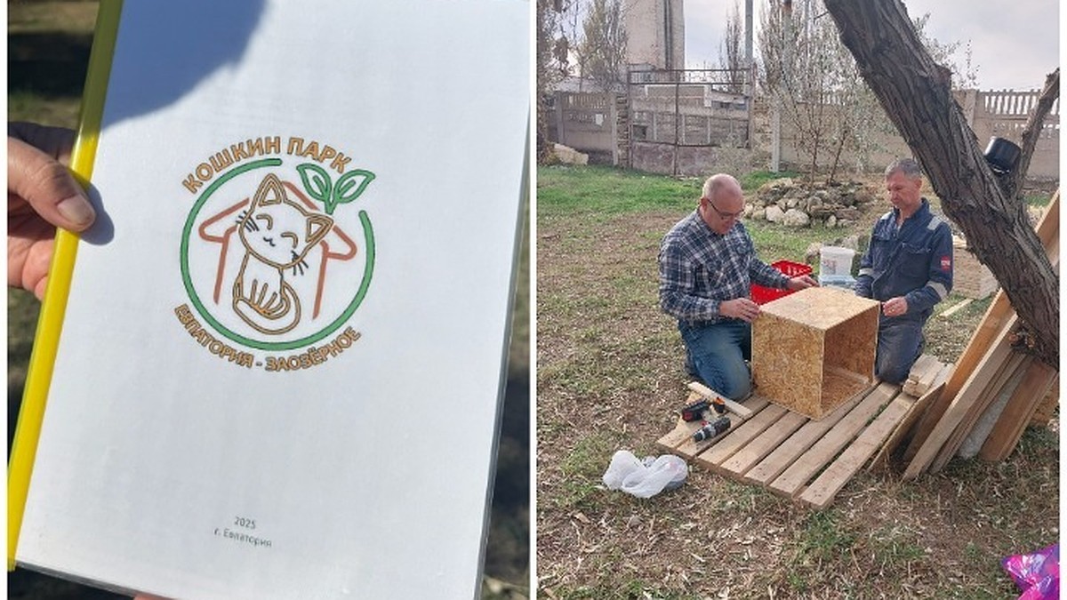 Гостиница для 40 мурлык: в Евпатории строят уникальный «Кошкин парк»