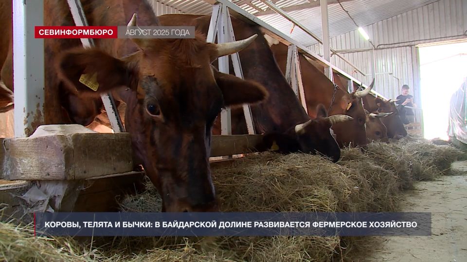 ����� ����: ��� � ����������� ��������� � ��������